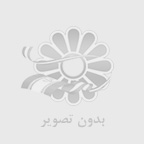قیمت سازه تزئینی فلزی